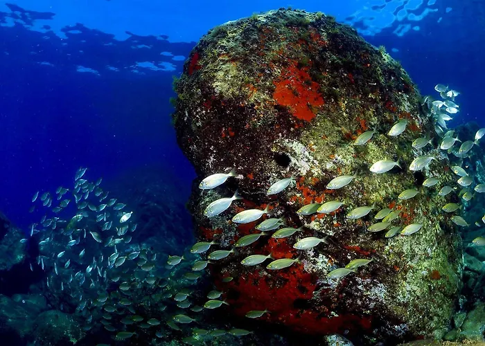 Feriehus Casa Del Sole Al Mare Con Parchegio Privato Mascali