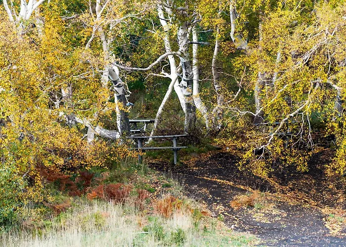 Feriehus Casa Del Sole Al Mare Con Parchegio Privato